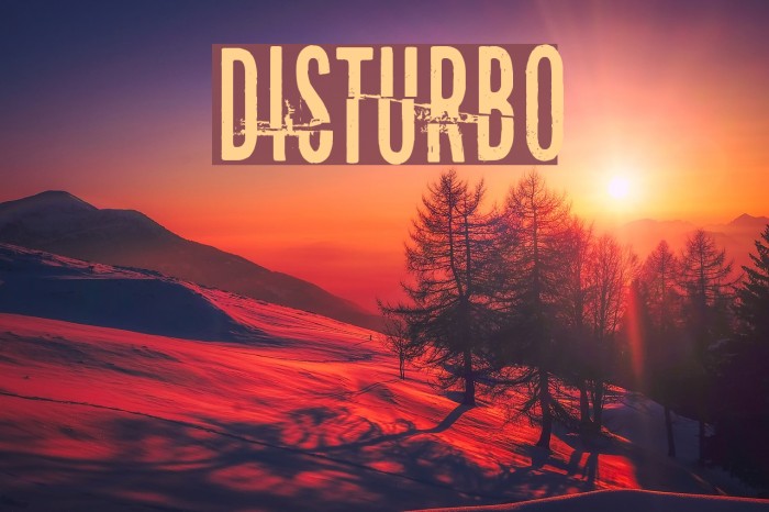 Disturbo Font examples
