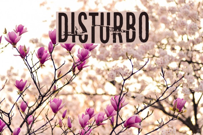 Disturbo Fuentes examples