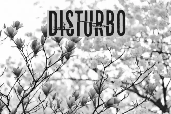 Disturbo Fuentes examples