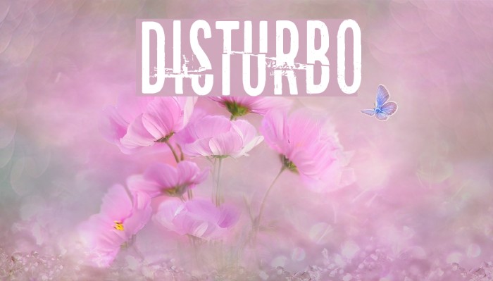 Disturbo Fuentes examples