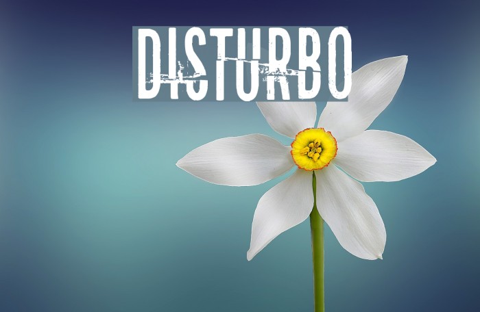 Disturbo Fuentes examples