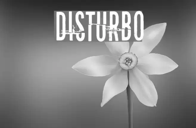 Disturbo Fuentes examples