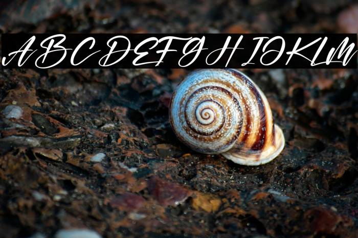 Dita & Rusta Example 3