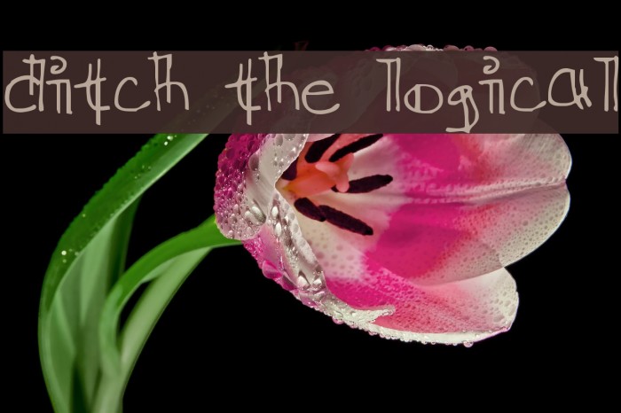 Ditch the Logical Font examples