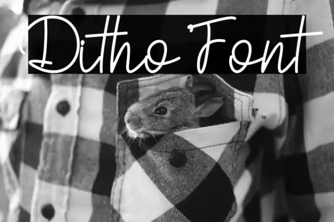 Ditho Font examples