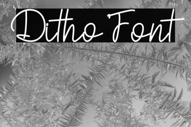 Ditho Font examples
