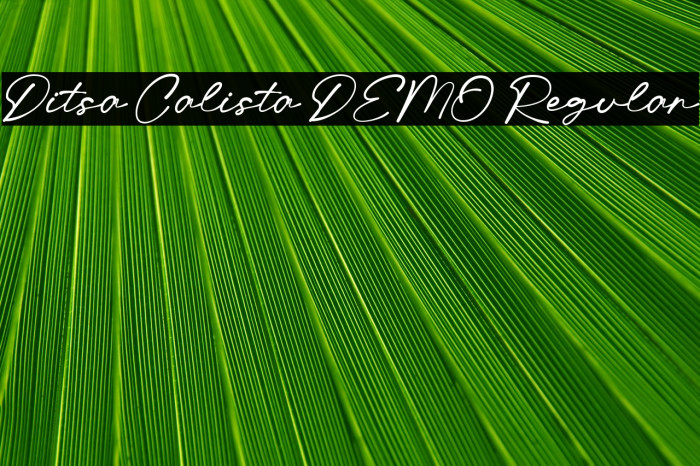 Ditsa Calista DEMO Regular Example 1