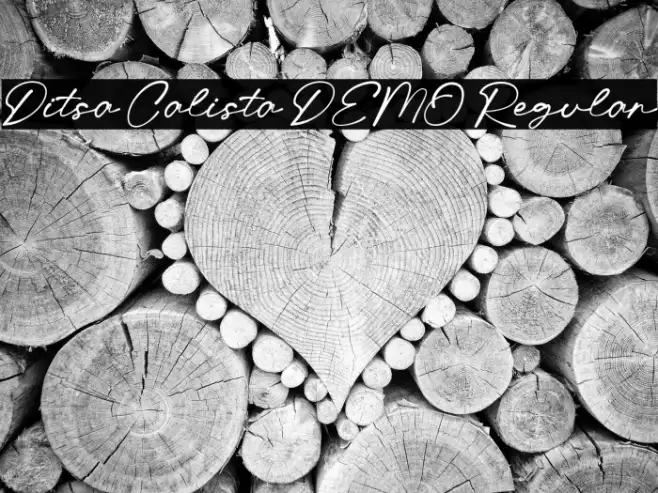 Ditsa Calista DEMO Regular Example 2