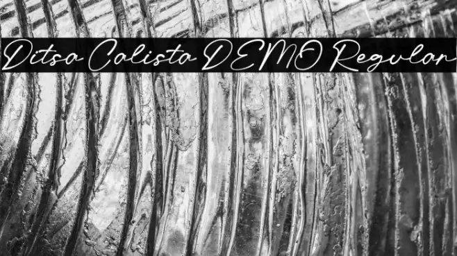 Ditsa Calista DEMO Regular Example 3