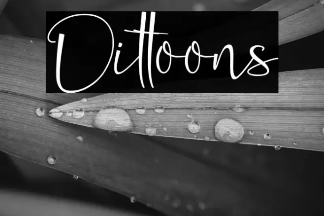 Dittoons Example 2