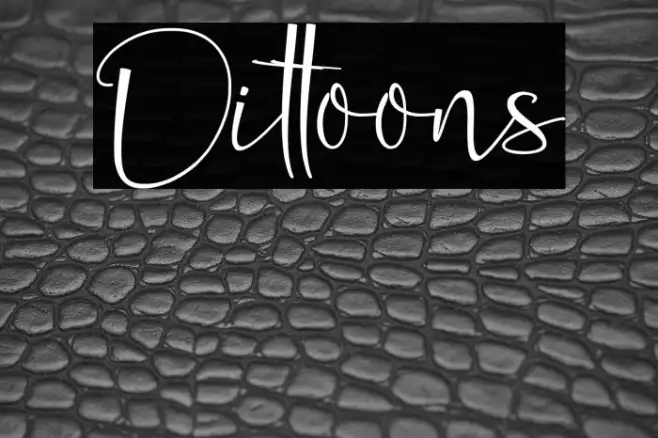 Dittoons Example 3