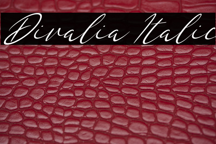 Divalia Italic Example 1