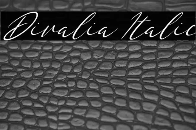 Divalia Italic Font examples