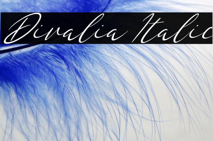 Divalia Italic Example 3