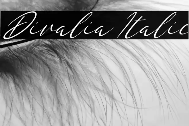 Divalia Italic Font examples
