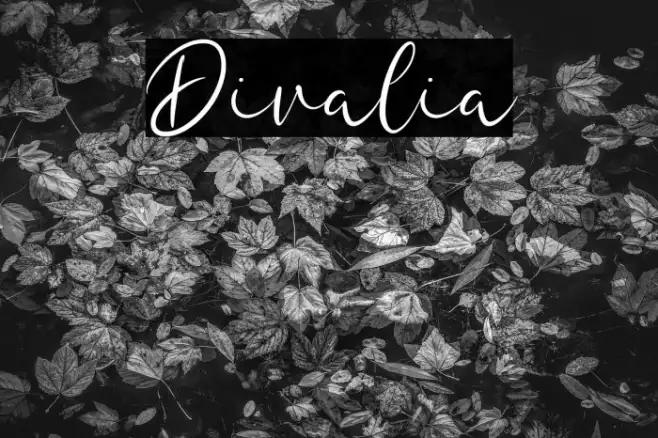Divalia Example 2
