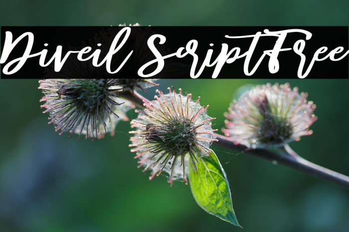 Diveil ScriptFree Example 3