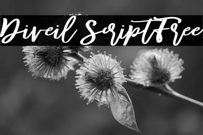 Diveil ScriptFree Example 3