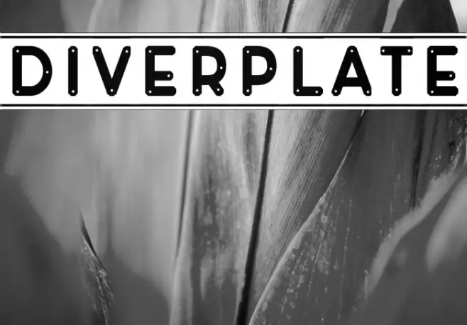 Diverplate Example 2