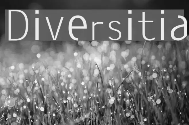 Diversitia Example 1