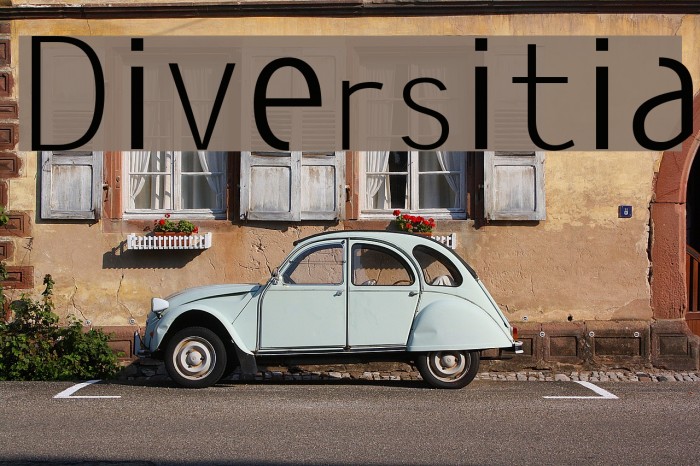 Diversitia Font examples