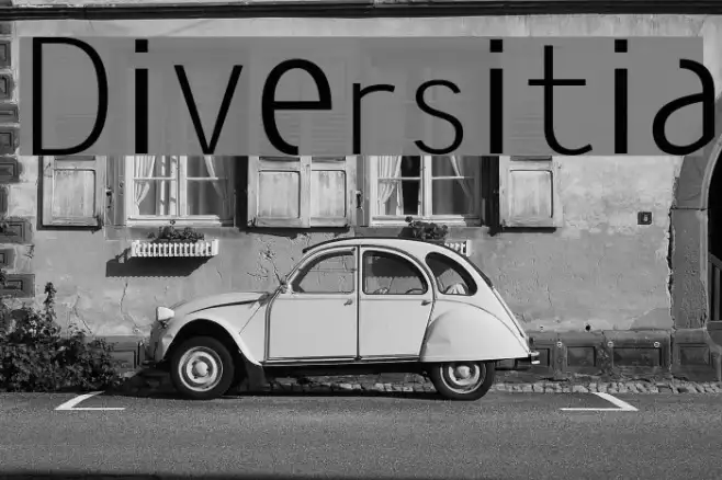 Diversitia Example 2