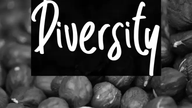 Diversity Example 1