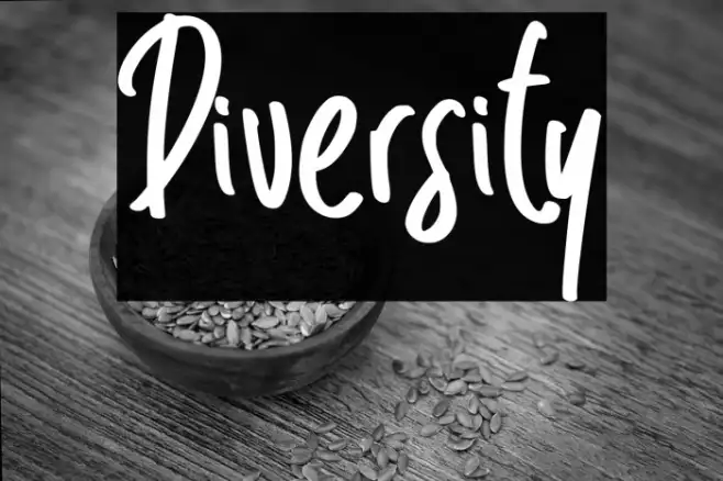 Diversity Example 3