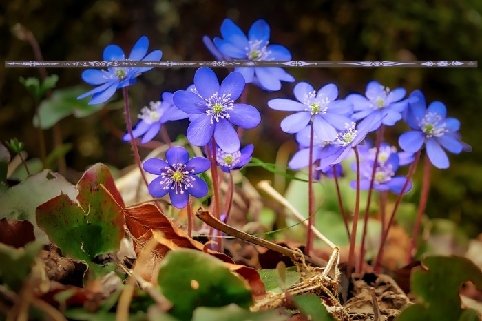 DividersTwo Example 3