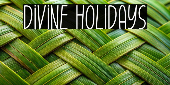 Divine Holidays Example 2