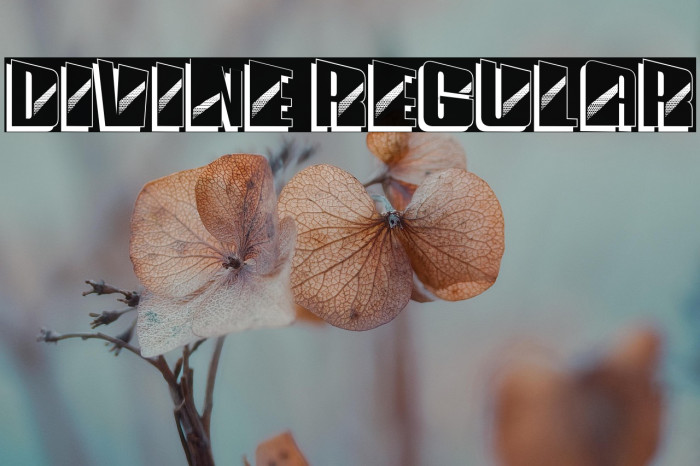 Divine Regular Example 3