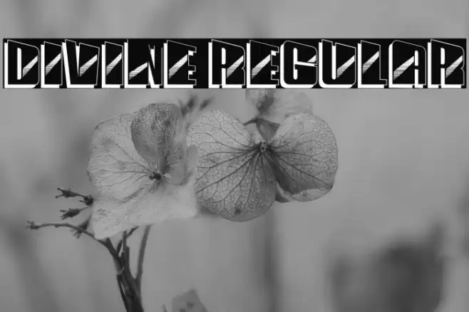 Divine Regular Font examples