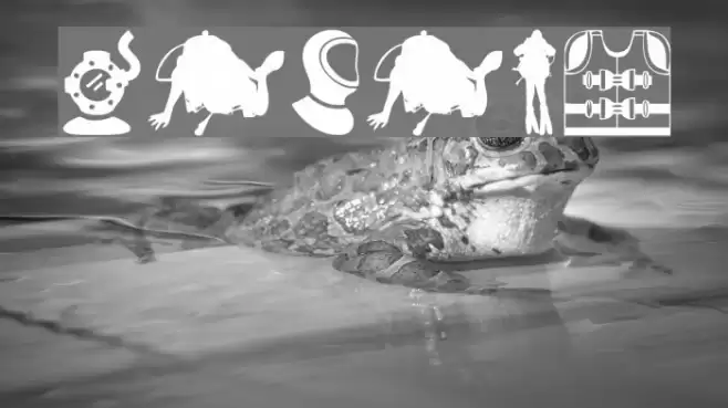 Diving Font examples