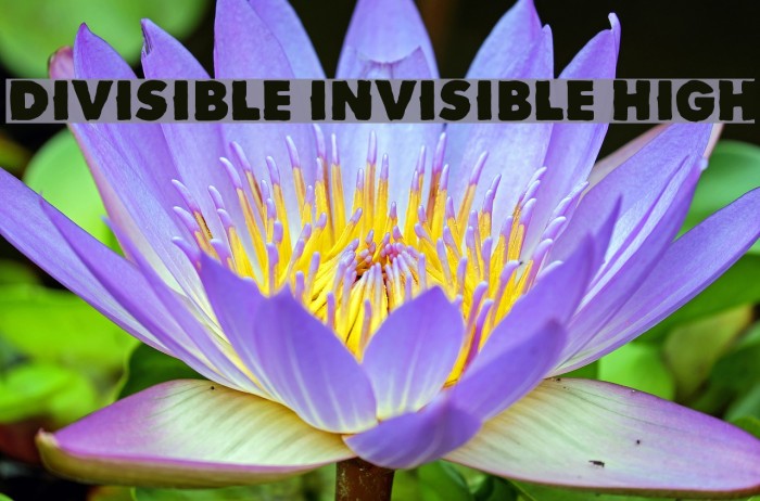 Divisible Invisible High Font examples
