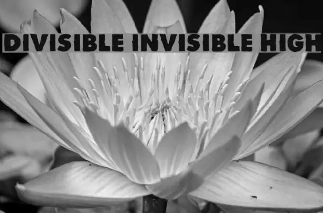 Divisible Invisible High Schriftart examples