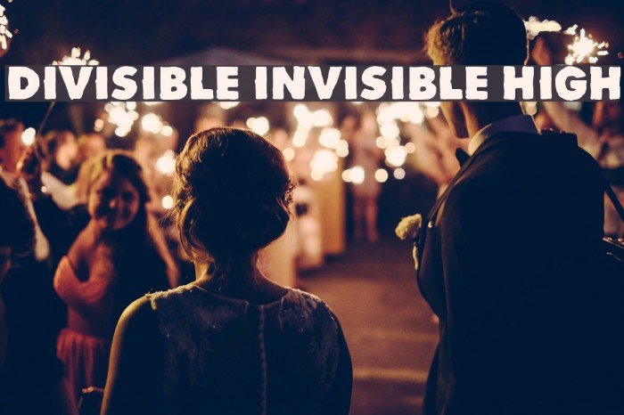 Divisible Invisible High Font examples