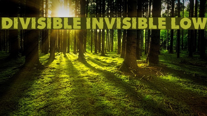 Divisible Invisible Low Font examples