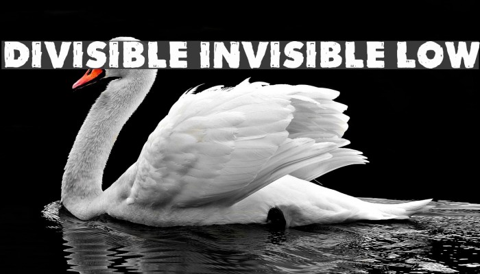 Divisible Invisible Low Font examples