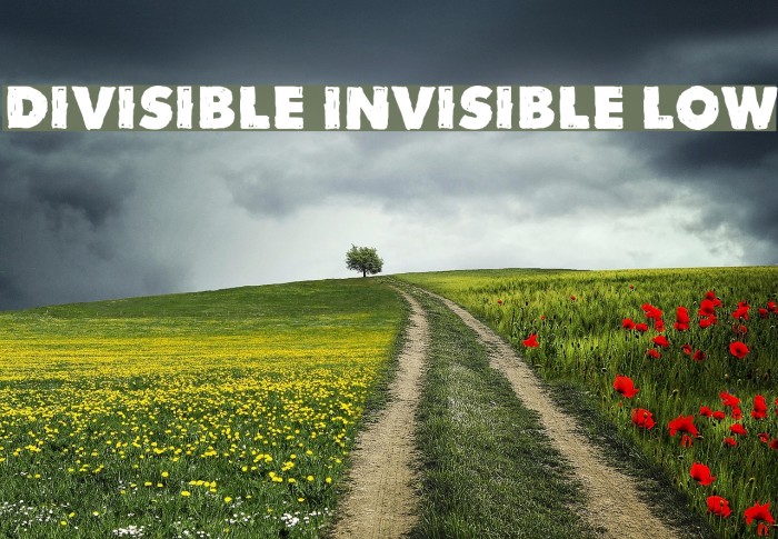 Divisible Invisible Low Font examples