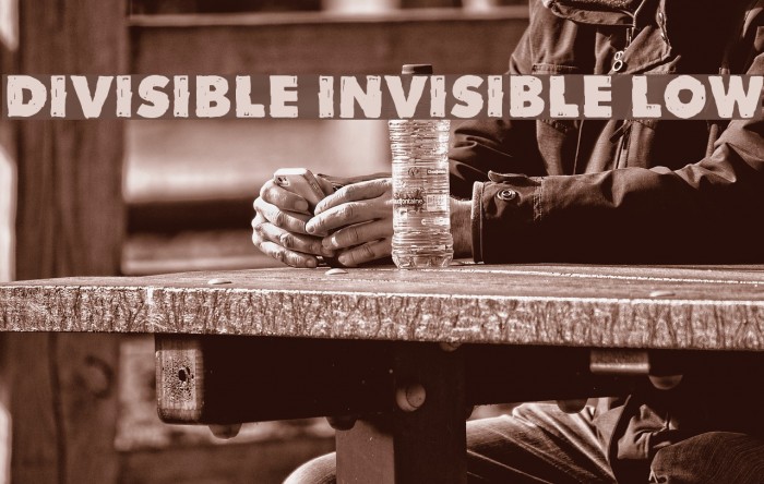 Divisible Invisible Low Font examples