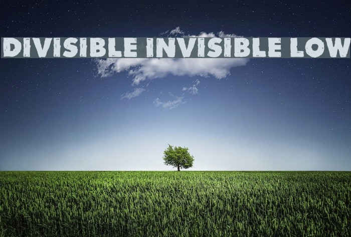 Divisible Invisible Low Font examples