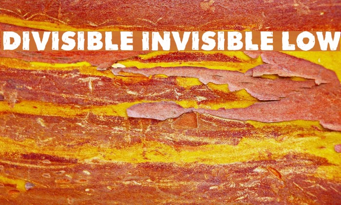 Divisible Invisible Low Font examples