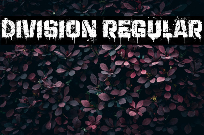 Division Regular Example 1