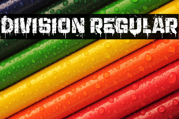 Division Regular Example 2