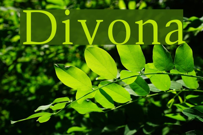 Divona Font examples