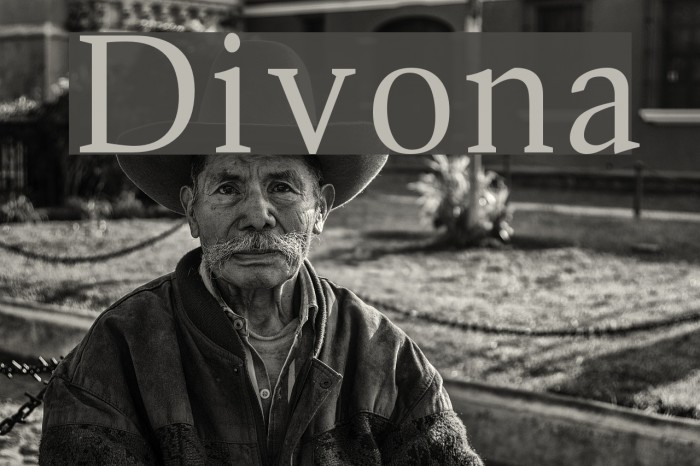 Divona Font examples
