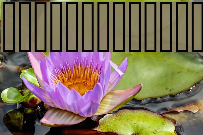 Diwaani 3D Shadow Font examples