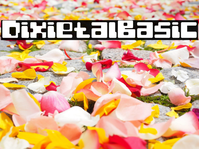 Dixietal-Basic Example 1