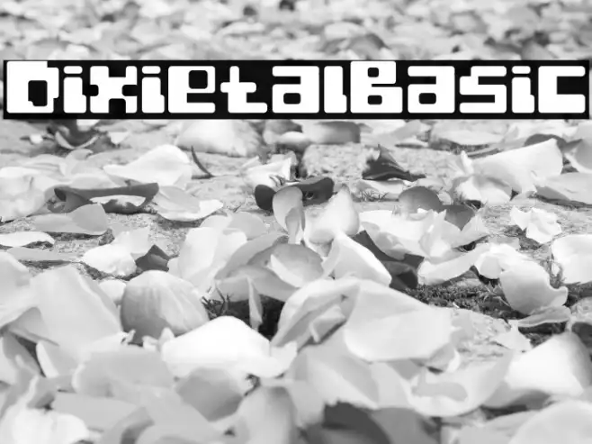 Dixietal-Basic Example 1