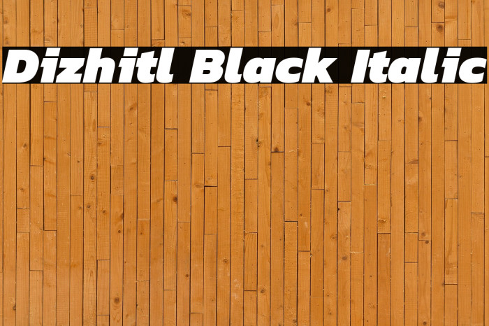 Dizhitl Black Italic Example 1